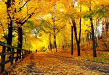 مقاصد گردشگری در پاییز و پاییز در ایران