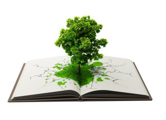 تولید کاغذ و جنگل زدایی