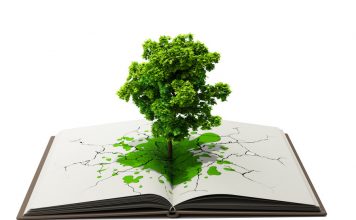 تاریخچه قطع درختان و تولید کاغذ تولید کاغذ و جنگل زدایی