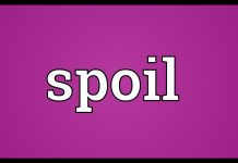 اسپویل spoil