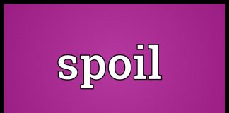 اسپویل spoil