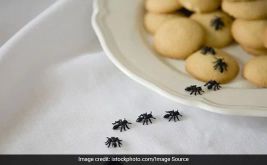 مورچه درمان خانگی