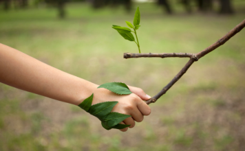 پنج راهی که طبیعت می تواند سلامت روان شما را تقویت کند پنج راهی که طبیعت می تواند سلامت روان شما را تقویت کند