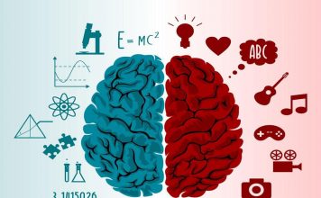تمرینات مفید برای افزایش توانایی مغز و بالا بردن سطح هوش تمرینات مفید برای افزایش توانایی مغز و بالا بردن سطح هوش