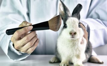 هر آنچه باید در مورد تست لوازم آرایشی بر روی حیوانات بدانید تست لوازم آرایش بر روی حیوانات