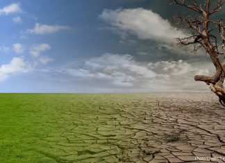 چگونه تغییرات آب و هوایی بر غذای ما تأثیر می گذارد