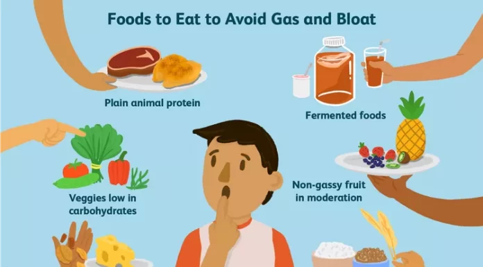 بهترین غذاها برای رفع نفخ معده بهتر بشناسیم